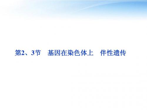 【优化方案】江苏专用2012高考生物总复习 第2章第2、3节基因在染色体上伴性遗传课件 新人教版必修2