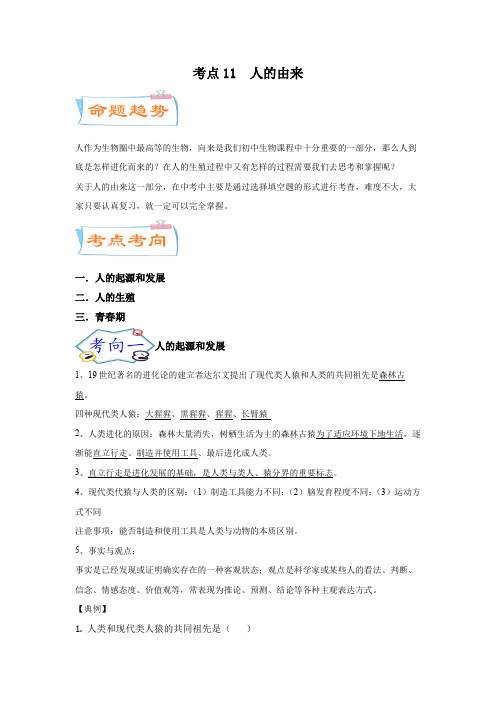 生物中考一轮复习考点11  人的由来(考点)