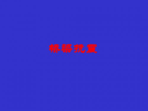 第一章桥梁抗震