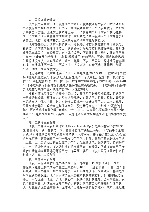 麦田里的守望者简介