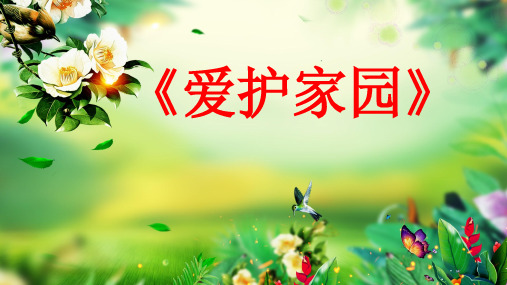 五年级上册美术说课课件- 19课 爱护家园    人教新课标 (共20张PPT)
