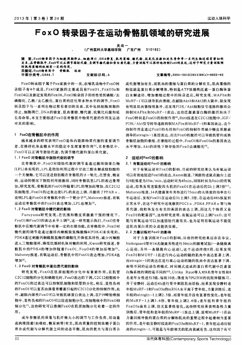 FoxO转录因子在运动骨骼肌领域的研究进展