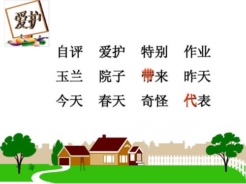 特别的作业ppt课件
