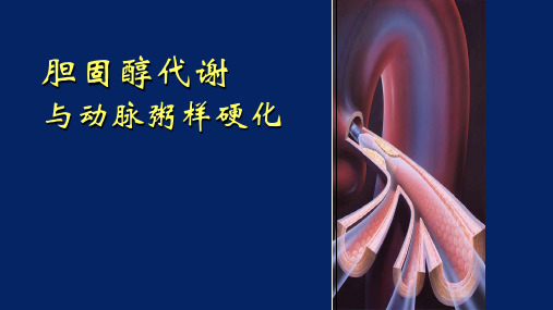 胆固醇代谢和动脉粥样硬化PPT课件