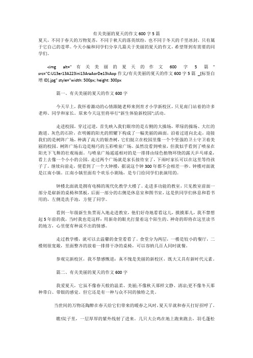 有关美丽的夏天的作文600字5篇 