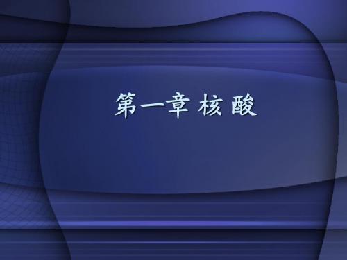 01核酸化学