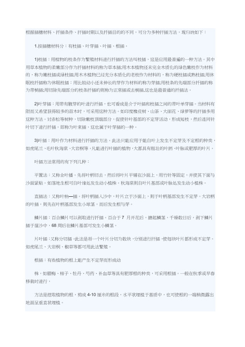 花卉扦插繁殖方法大全