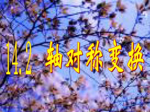轴对称变换-2