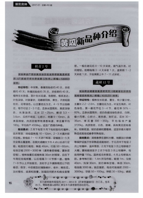 黄瓜新品种介绍
