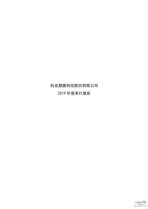 创业慧康：2019年年度审计报告