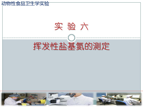 实验六、挥发性盐基氮的测定