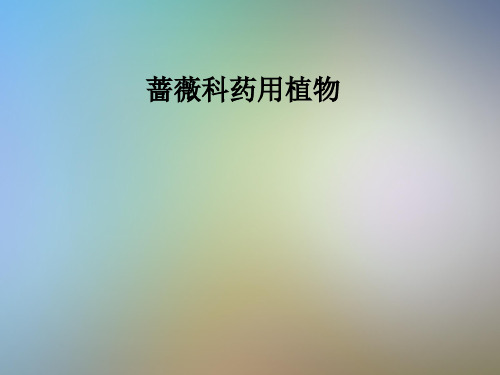 蔷薇科药用植物