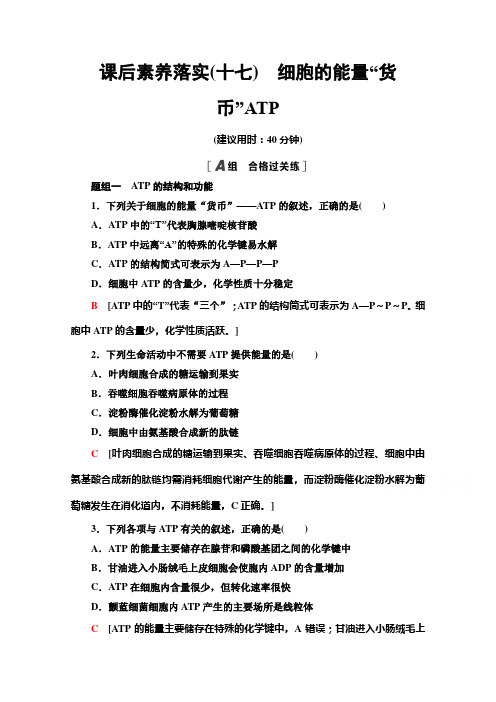 新教材人教版生物必修1课后作业-5.2-细胞的能量“货币”ATP-含解析