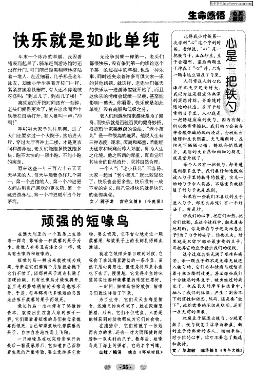 顽强的短喙鸟