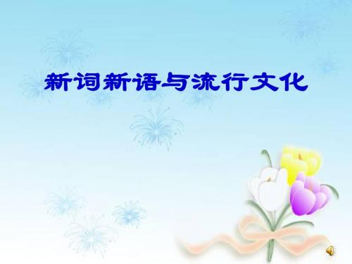 新词新语1