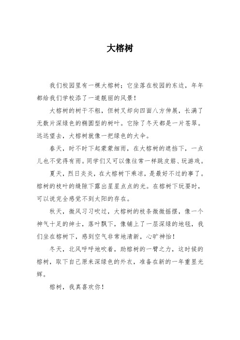 小学五年级作文：大榕树