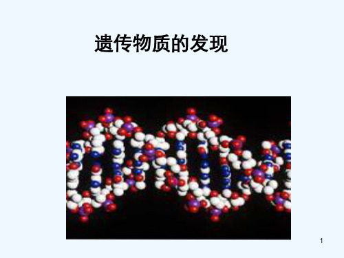 高中生物 遗传物质的发现课件 中图版必修2
