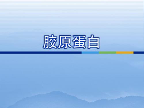 胶原蛋白