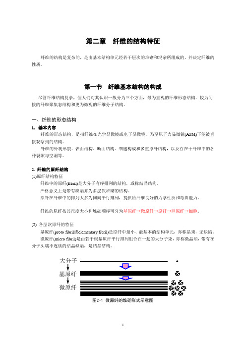 纤维的结构特征