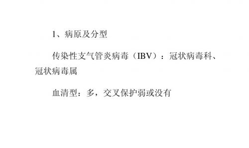 2008年家禽主要疫病流行动态及防控——传染性支气管炎(IB)