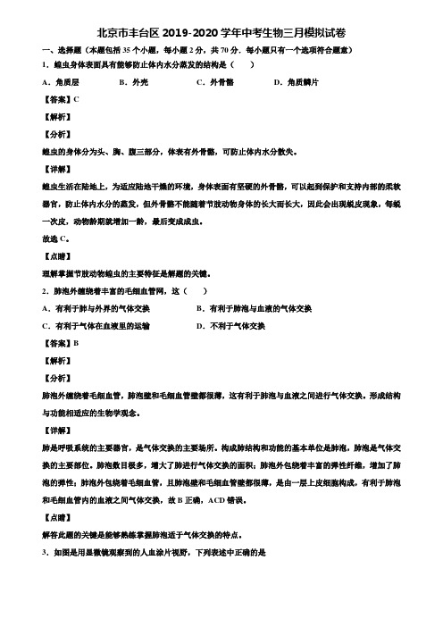 北京市丰台区2019-2020学年中考生物三月模拟试卷含解析