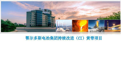 持续改进(CI)黄带项目报告