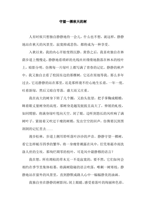 守望一棵秋天的树
