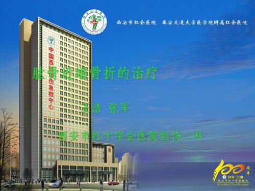 王浩+肱骨近端骨折的治疗