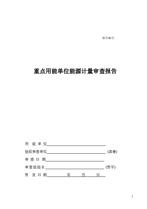 重点用能单位能源计量审查报告