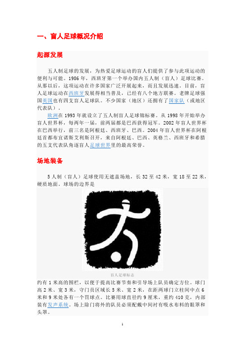 盲人足球报道资料