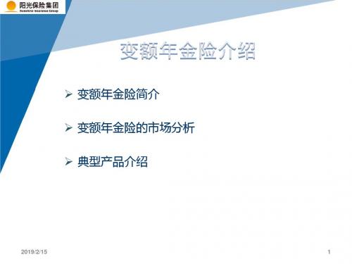 变额年金险-精选文档