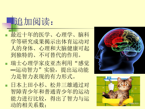 第三章运动能力与个体差异