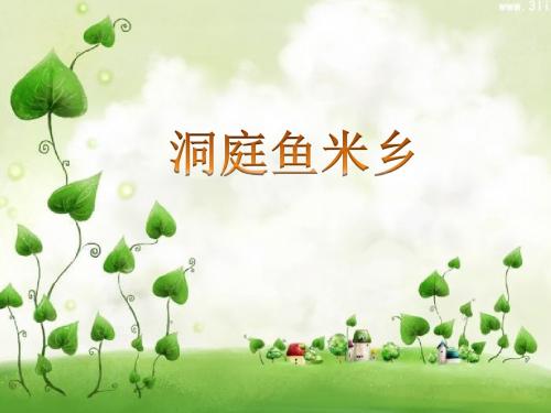 《洞庭鱼米乡》课件.