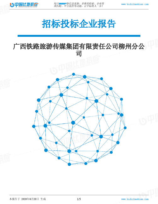 广西铁路旅游传媒集团有限责任公司柳州分公司-招投标数据分析报告
