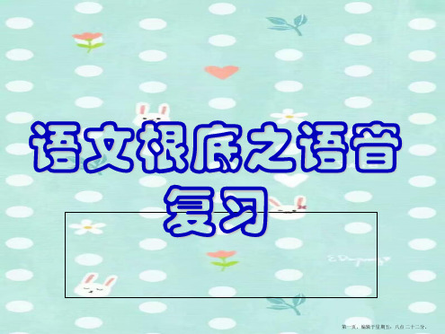 高考语文专题复习 语音复习课件 新人教版