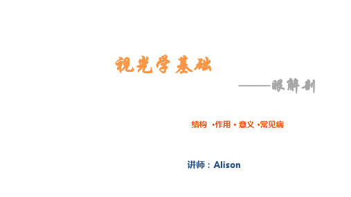 眼解剖简述