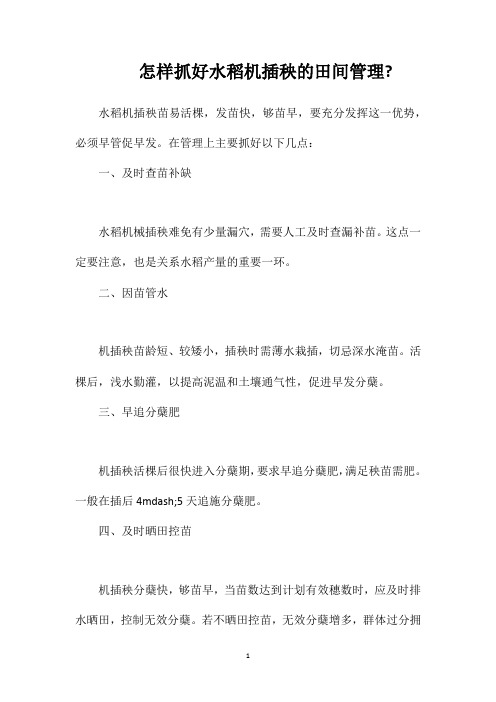 怎样抓好水稻机插秧的田间管理