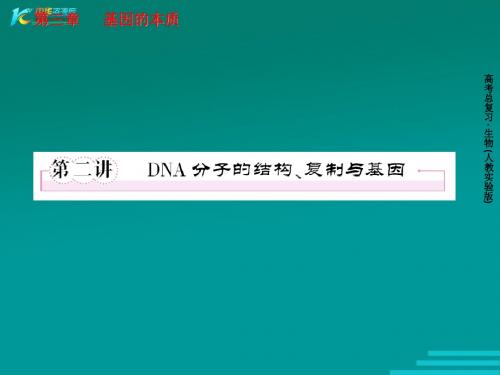 2012高考指向标生物一轮复习课件新人教版必修2：3-2 DNA分子的结构、复制与基因