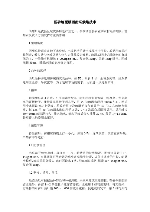 压砂地覆膜西甜瓜栽培技术