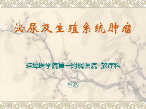 肾癌,膀胱癌,睾丸癌