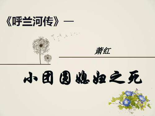 小团圆媳妇之死概要