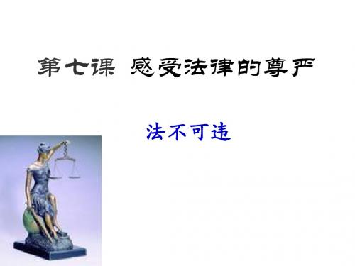 初一下人教版思想品德课件   法不可违