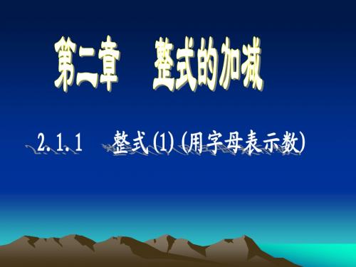 2.1.1 用字母表示数