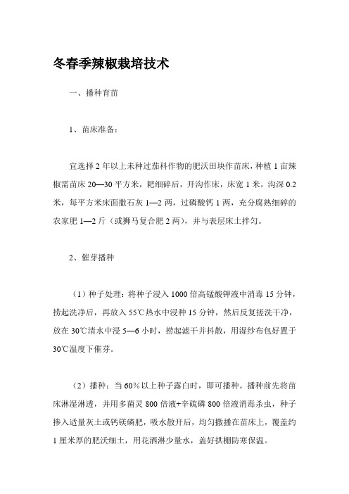 冬春季辣椒栽培技术