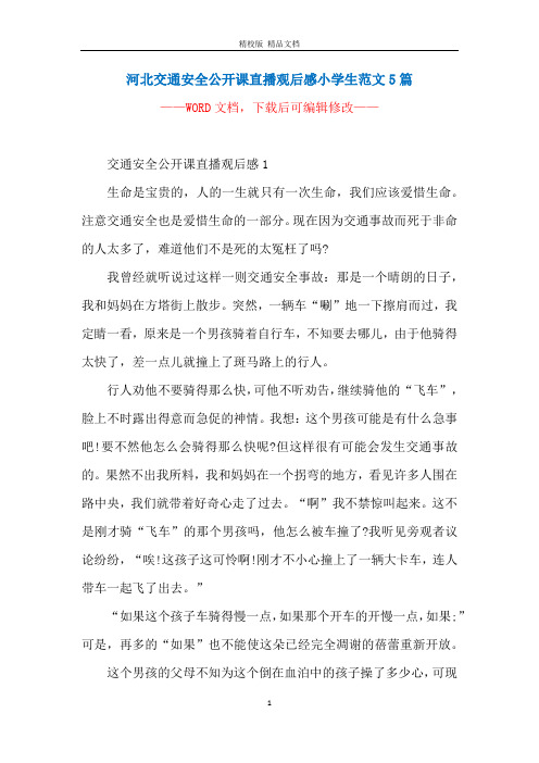 河北交通安全公开课直播观后感小学生范文5篇