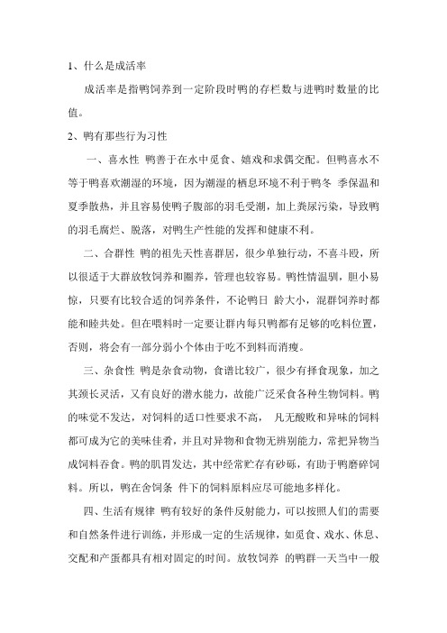 养鸭基础知识