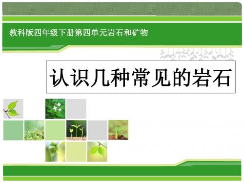 《认识几种常见的岩石》岩石和矿物精品ppt课件2