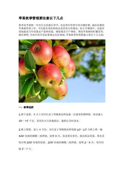 苹果秋季管理要注意以下几点