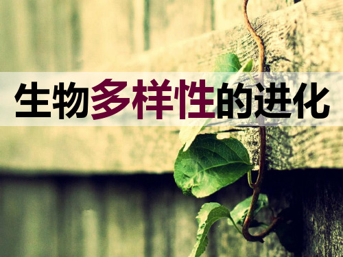 生物多样性的进化