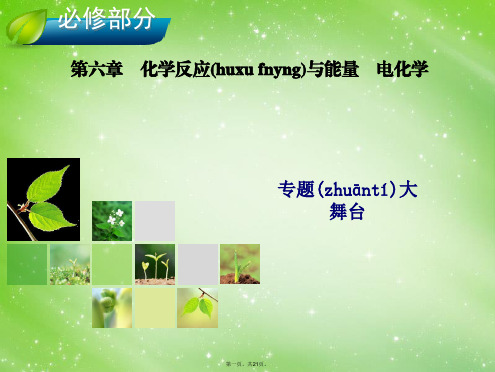 高考化学总复习 第6章 化学反应与能量 电化学课件 新人教版必修2